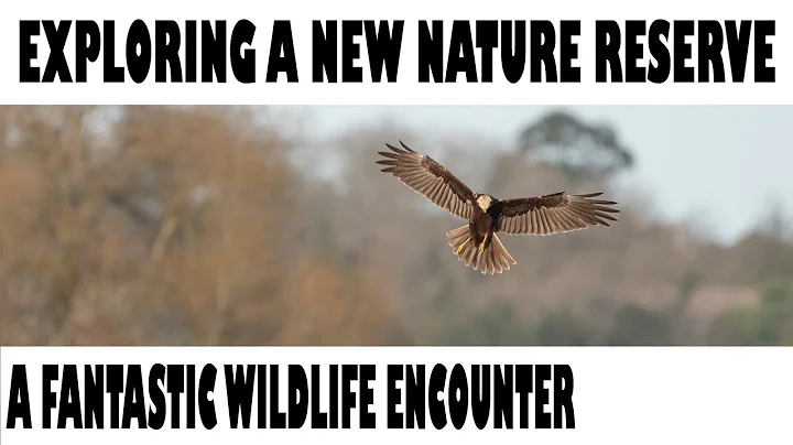 EXPLORING A NEW NATURE RESERVE-AN UNEXPECTED WILDL...