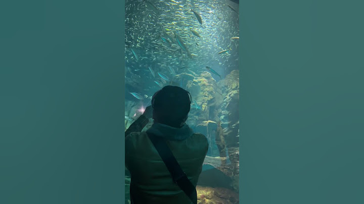 Osaka aquarium