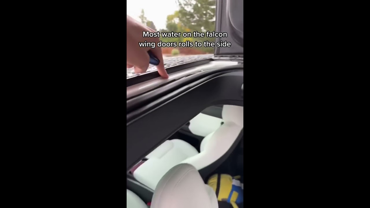 What Happens If I Open My Model X Falcon Wing Doors In The Rain 