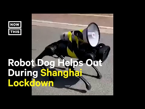 Robot Dog Barks COVID-19 Safety Protocols in Shanghai #Shorts