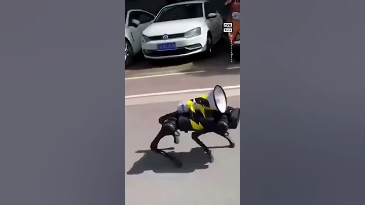 Robot Dog Barks COVID-19 Safety Protocols in Shanghai #Shorts - DayDayNews
