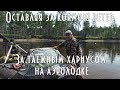 🚤 За таежным хариусом на аэролодке / рыбалка, ленок, хариус /