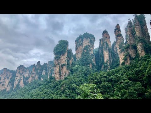 เทียนจื่อซาน หุบเขาอวตาร Hunan China July2018