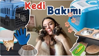 Kedi Bakımı|Mutlaka Alınması Gereken 5 Ürün|Kedi Sahiplenmek|Perihan Kaftelen