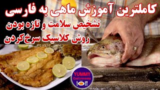 کاملترین آموزش سرخ کردن ماهی و مهمترین روشهای تشخیص تازه‌ بودن و سلامت