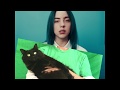 Billie Eilish   OwlKitty - Bad Cat (Behind the Scenes)