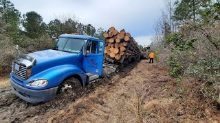 Dirty South logging Track loader to the rescue