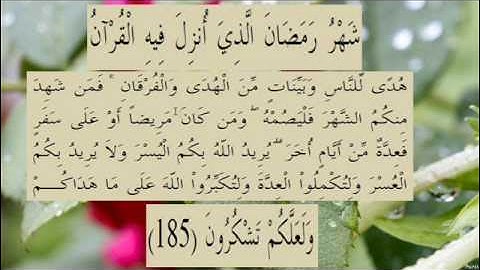 القران الكريم سورة البقرة الاية 185