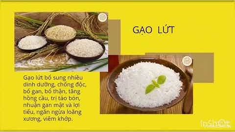 Gạo Nếp Tú Lệ