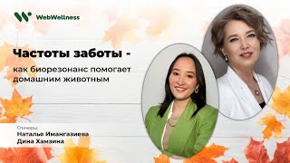 Частоты заботы: как биорезонанс помогает домашним животным