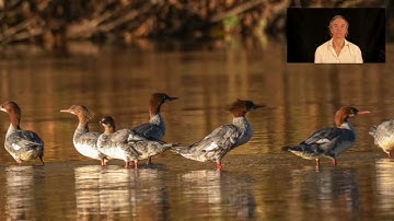 The Anatomy of Now:  A Somatic Pathway to Awake Awareness, with Jonathan Foust