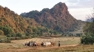 Myanmar Rural Life  Between Kalaw and Inle Lake