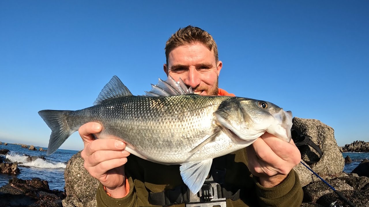 LURE FISHING FOR BASS LEARN THE MARK CATCH BIG BASS!!
