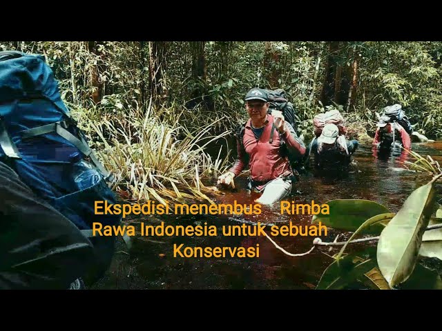 Berjuang...!!! Perjalanan menembus rimba rawa Indonesia untuk sebuah konservasi... class=