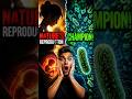 Fastest Reproduction in Nature vs Humans, Who Wins? | Biology Explained#short#BodyVue#viralvideo