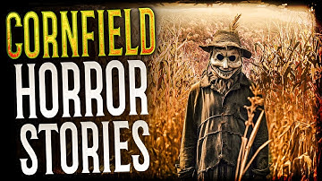 3 Terrifying True Cornfield Horror Stories