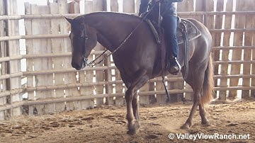 King Of Crome - reining lead changes, big stops, slow jog! - ValleyViewRanch.net
