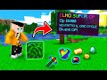 LE FOGLIE DROPPANO OGGETTI OP SU MINECRAFT!