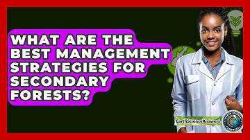What Are The Best Management Strategies For Secondary Forests? - Earth Science Answers