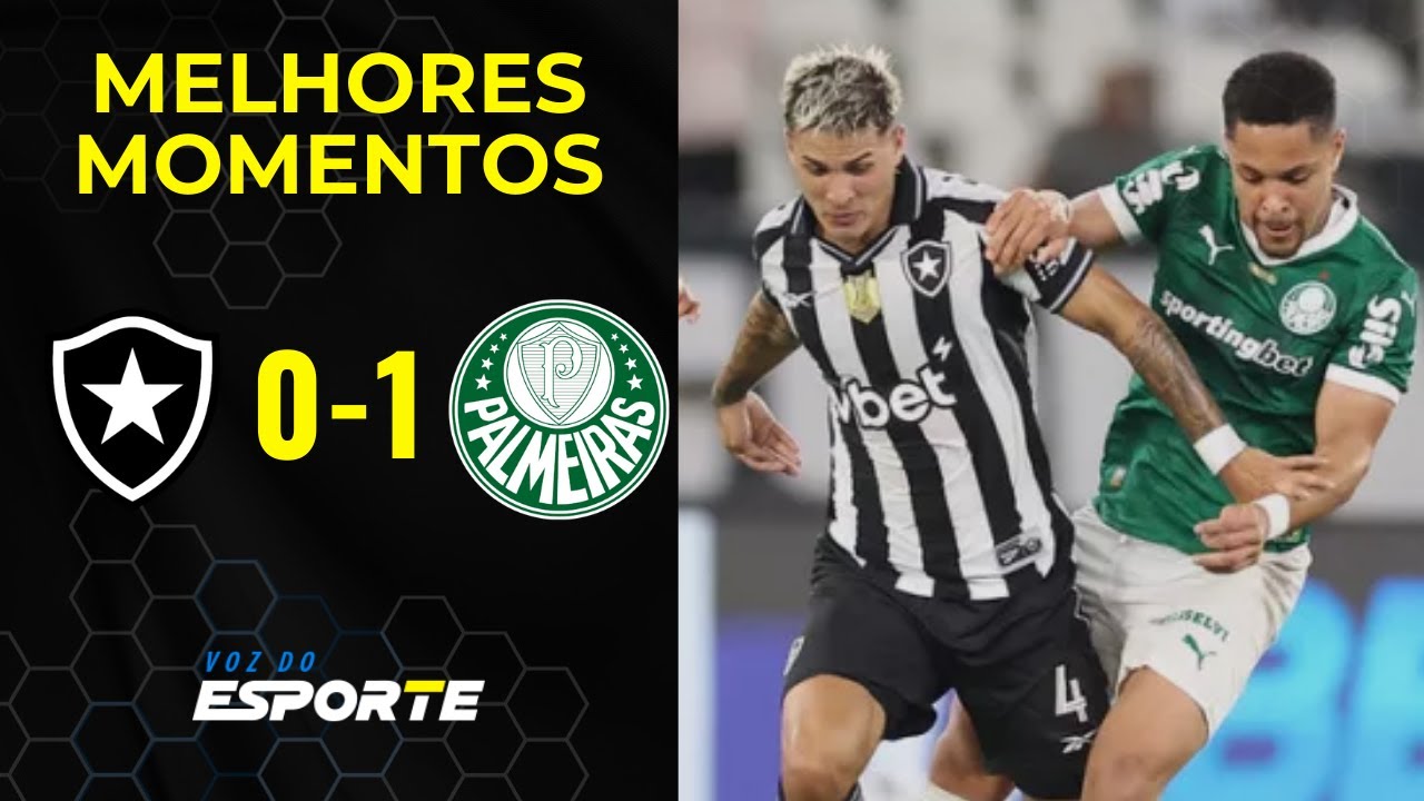BOTAFOGO 0 X 1 PALMEIRAS - MELHORES MOMENTOS | CAMPEONATO BRASILEIRO ...