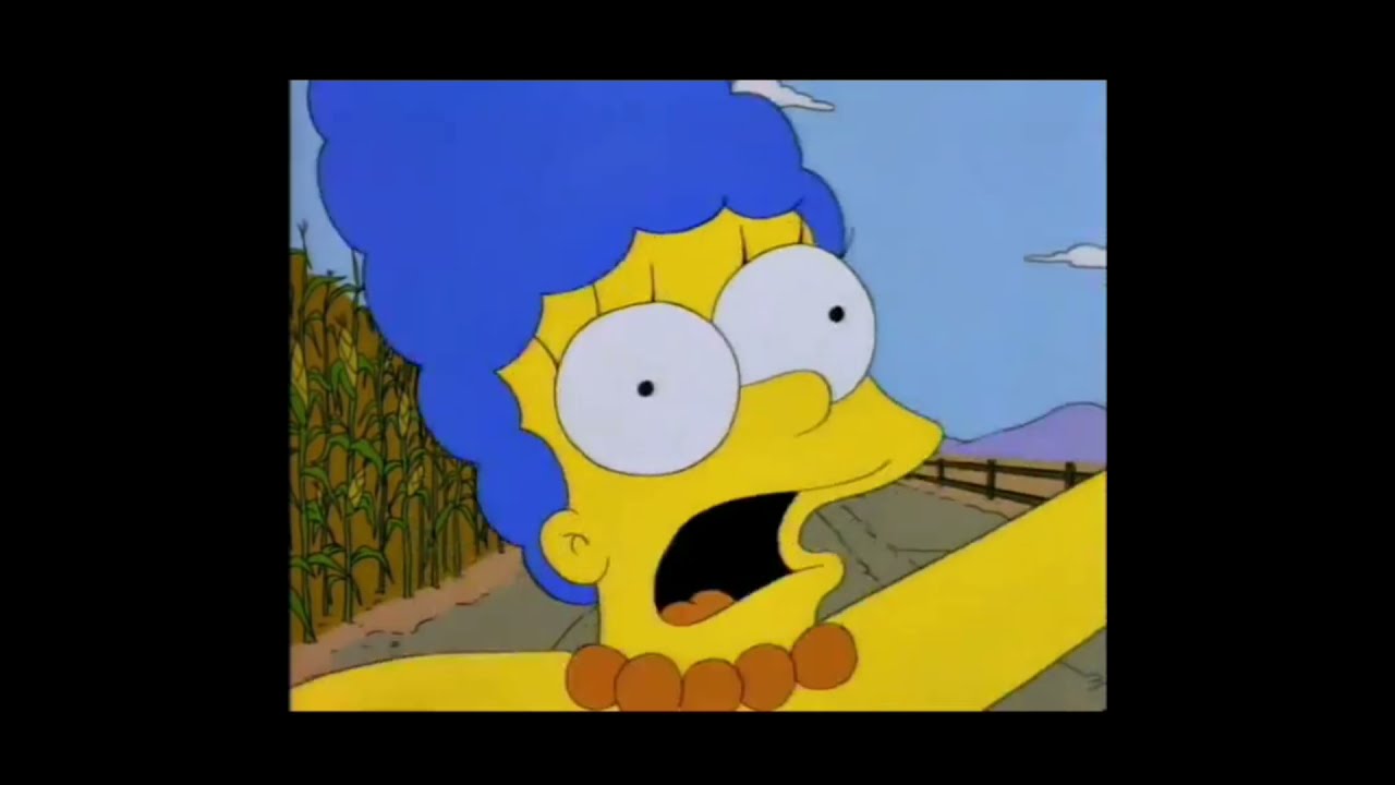 THIS IS WHAT A CORNFIELD LOOKS LIKE, HONEY!