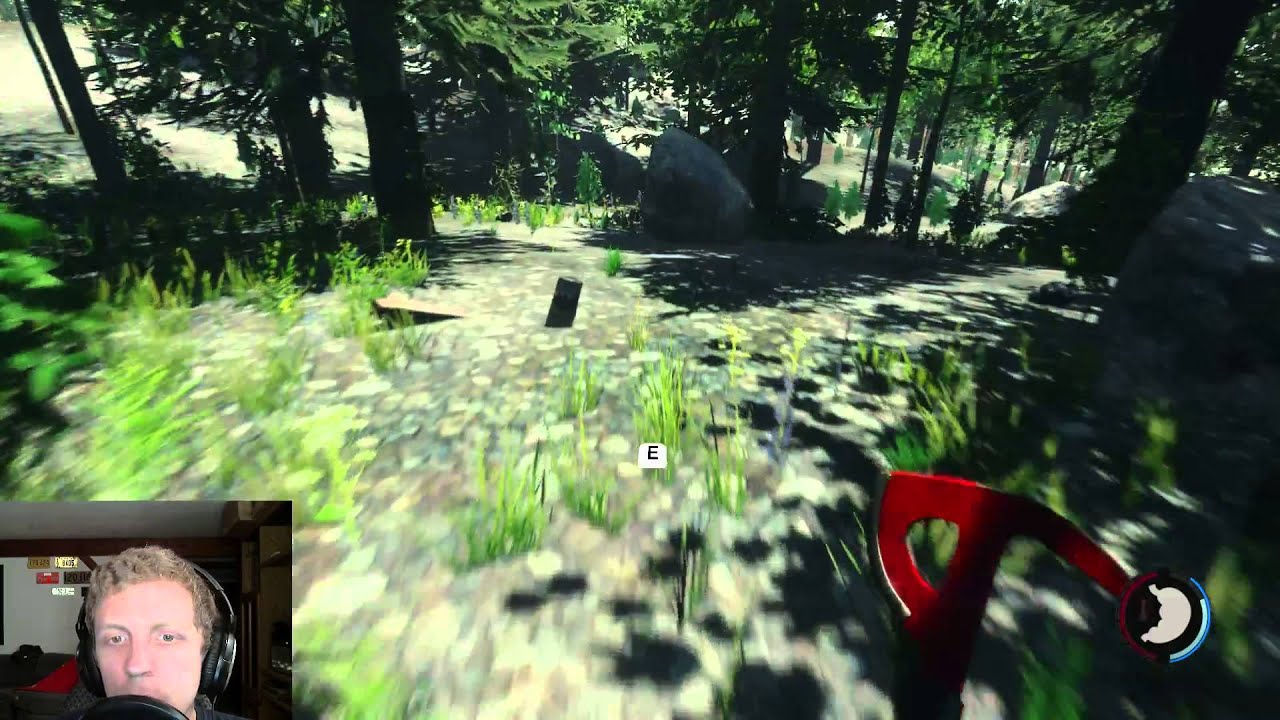 The Forest .004B | More Updates