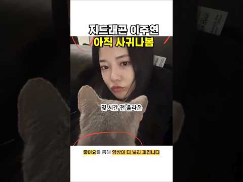 지드래곤 이주연 아직 사귀나 봄