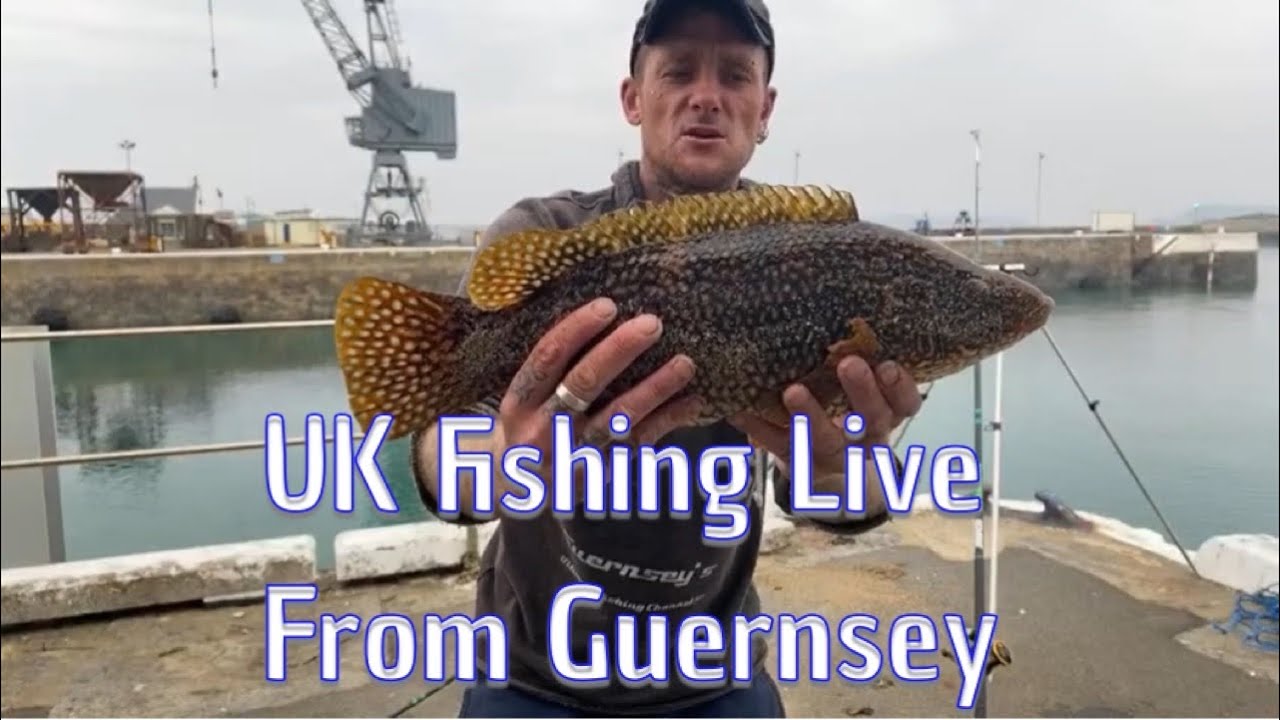 UK Fishing Live In Guernsey, Channel Islands🇬🇬🇬🇧 YouTube