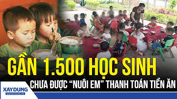 Gần 1.500 học sinh ở Đắk Lắk chưa được dự án “Nuôi em” thanh toán tiền ăn | BXD
