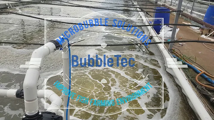 Nanobubble oxygen supply aeration System Shrimp farming (Biofloc & Probiotics)