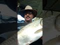 Big fish #funny #comedy #funnyvideo #manojkumar #trendingshorts #shortvideo #youtubereels