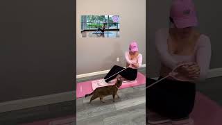 At Home Pilates Reformer Workout For Beginners No Equipment Needed