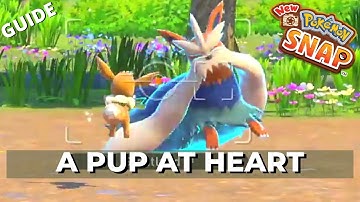 New Pokemon Snap Request Guide: A Pup at Heart