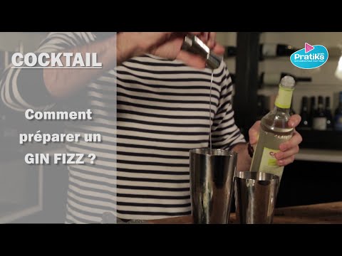 Comment préparer un cocktail Gin Fizz