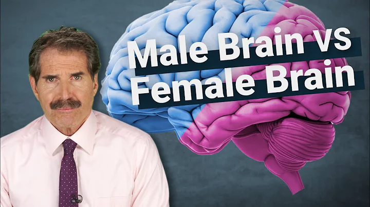 The Science: Male Brain vs Female Brain - DayDayNews