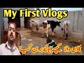 Gaon vala kesy youtuber bun geiyasaqlainaliofficial