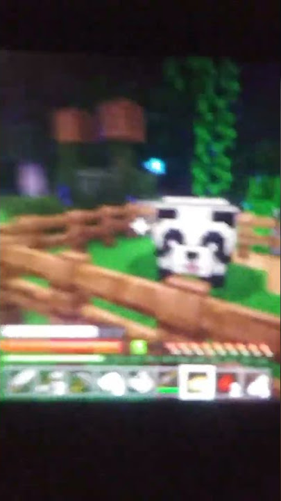 new smp pink nipple smp #1 make sure to add me if u want to join