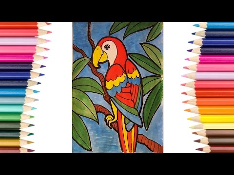 learning-how-to-paint-a-parrot-with-watercolors-&-children-songs-&-music.-learning-colours-4-kids