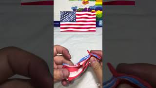 How to Make USA Flag