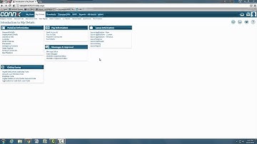 Connx Training video