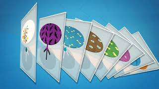 Picwood | Explainer Video