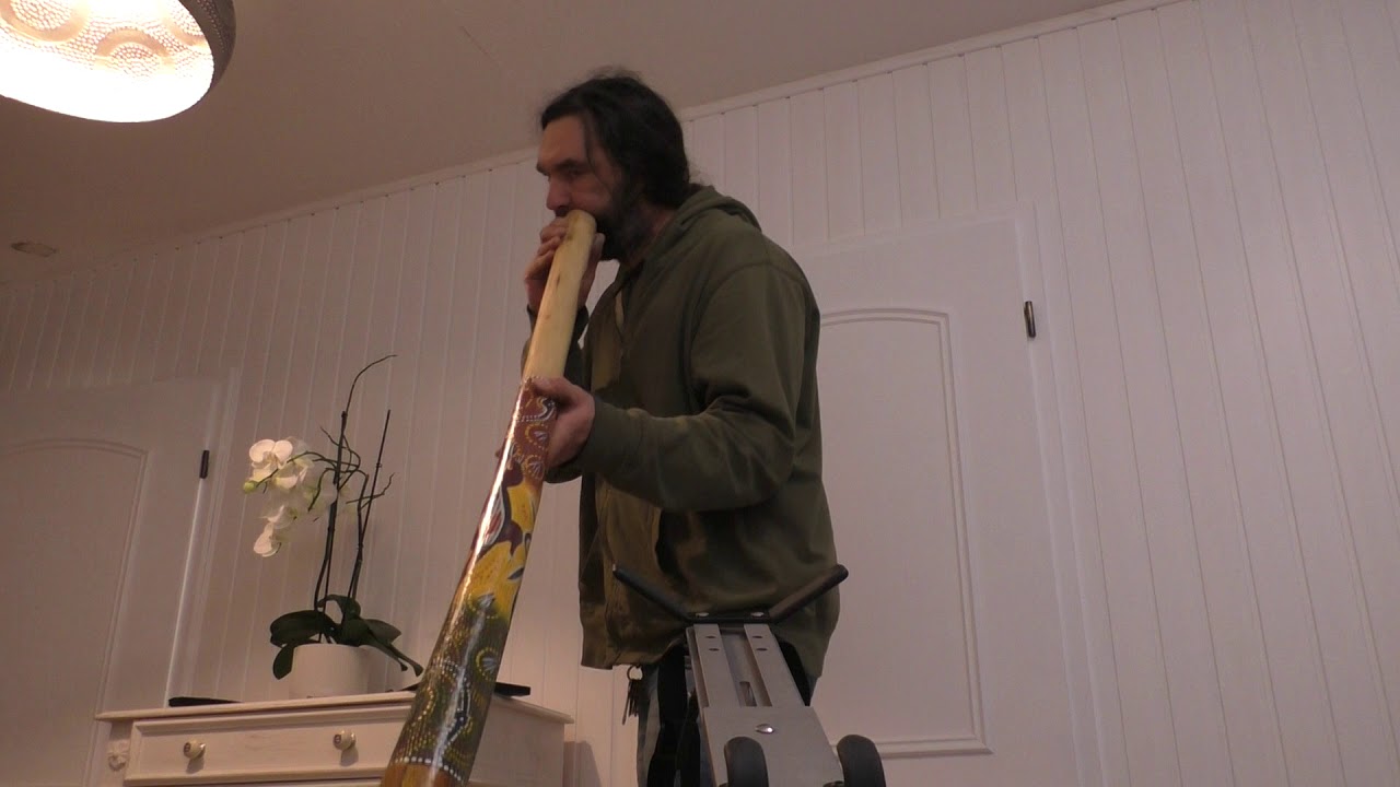 Didgeridoo TDL11