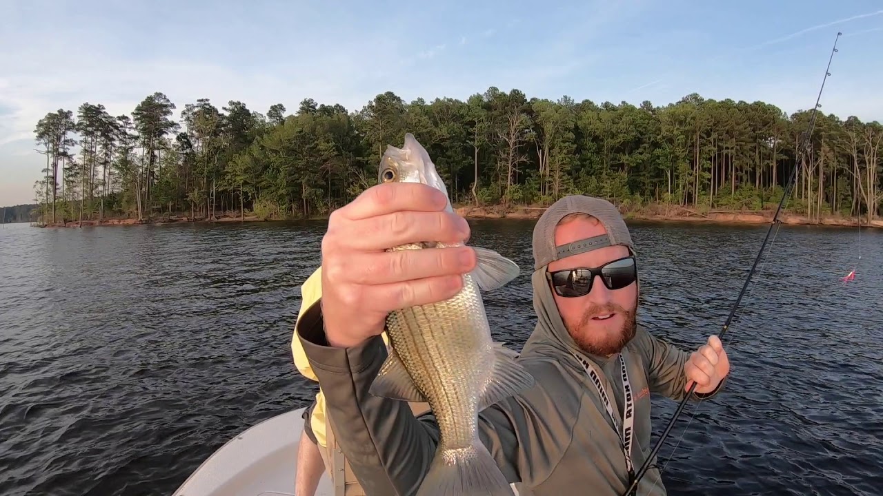 Jordan Lake NC Fishing YouTube