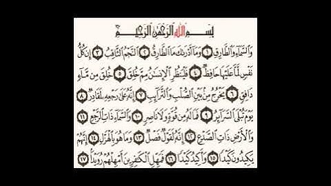سورة الطارق بصوت القارئ بيشوا قادر الكردي 🌼