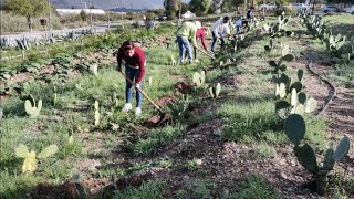 De basurero a bosque comestible: el departamento de ciencias del suelo, UAAAN, Saltillo, Coahuila.