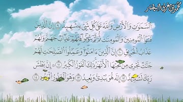 سورة البروج برواية السوسي عن أبي عمرو البصري - الشيخ محمد بن مغربي البيطار