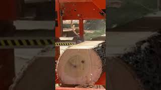 Sawing 2nd Edging Slab From A Nice 10ft Poplar