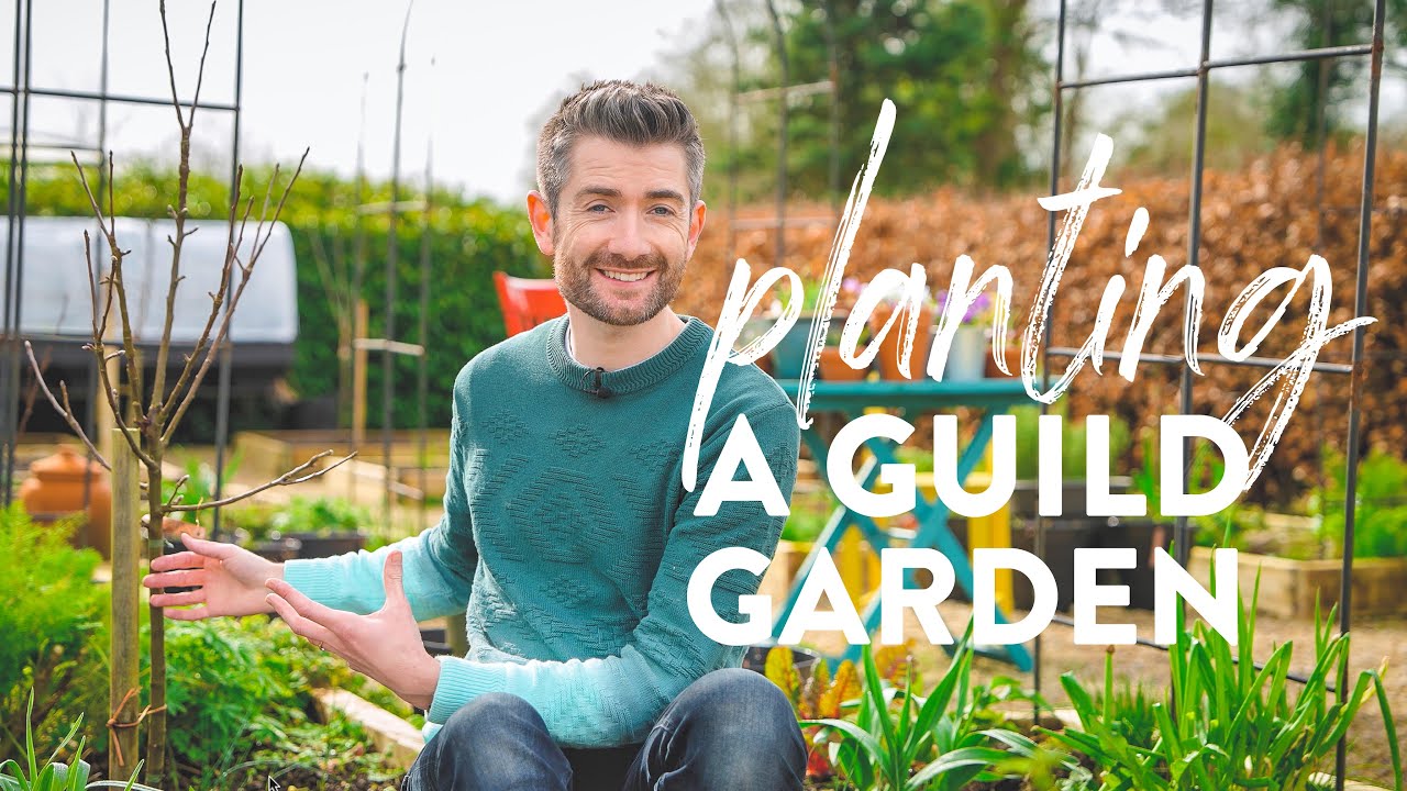 How to Plant a Guild Garden