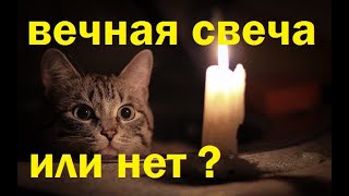 Вечная Свеча Своими Руками ?