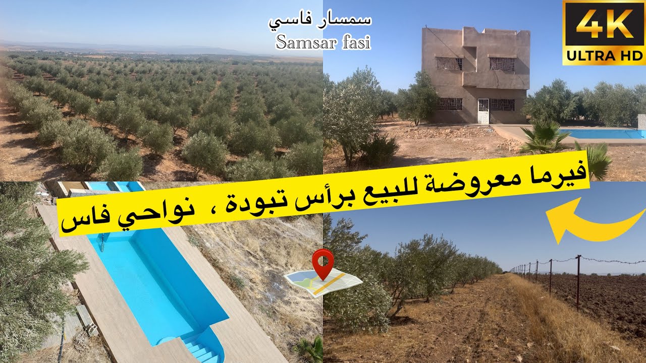 فيرما معروضة للبيع برأس تبودة نواحي فاس🌿